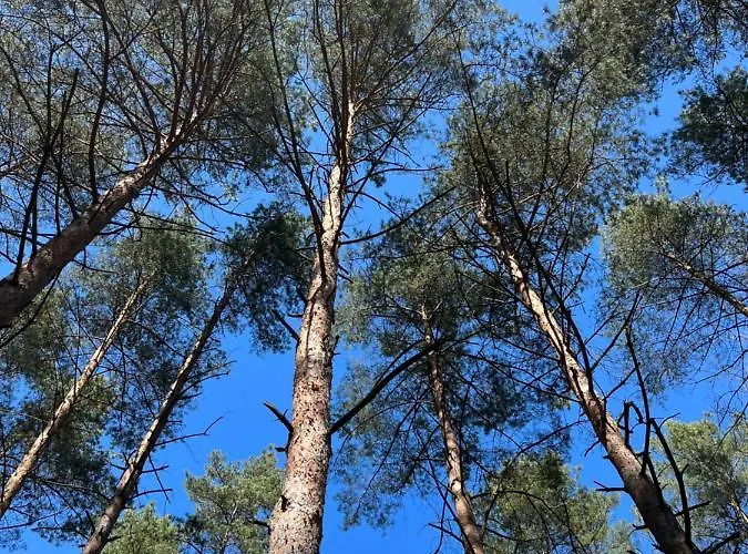 Holiday home Obity Dechami